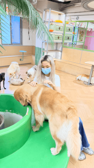 Alice interacting with shelter dogs